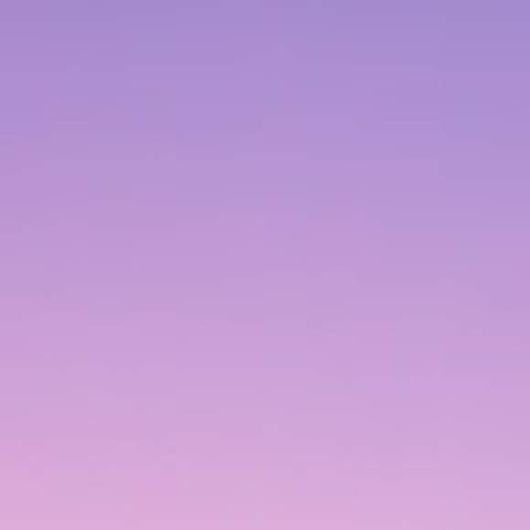 Meet your Posher, Purple - Picture 1 of 1